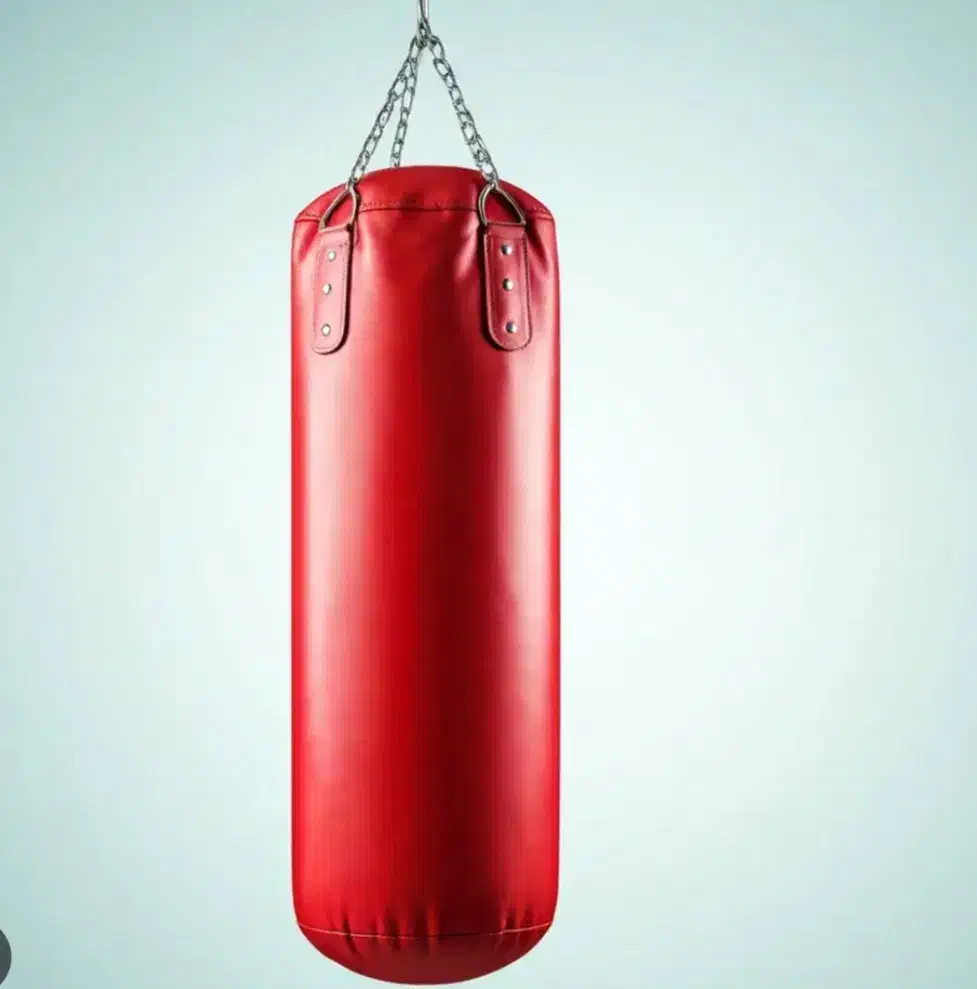 کیسه بوکس|تجهیزات ورزشی|پیرانشهر, |دیوار