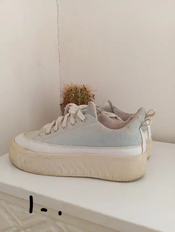 کفش اسپرت|کیف، کفش، کمربند|بیرجند, |دیوار