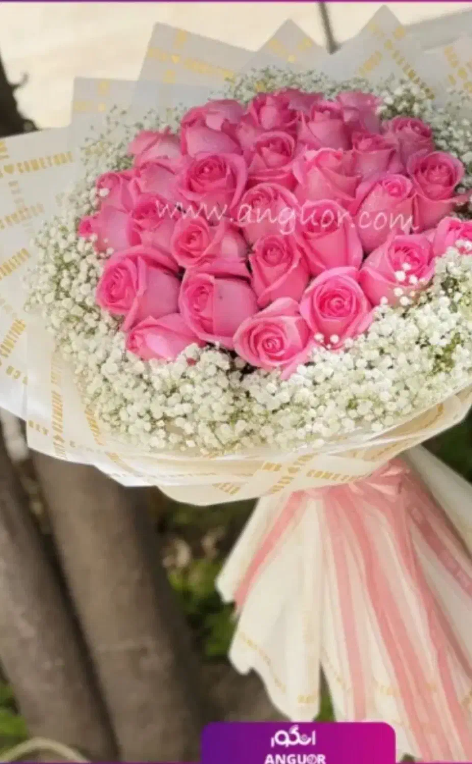 بنام پیونددهنده‌ قلبها|فعالیت داوطلبانه|بندر کنگان, |دیوار