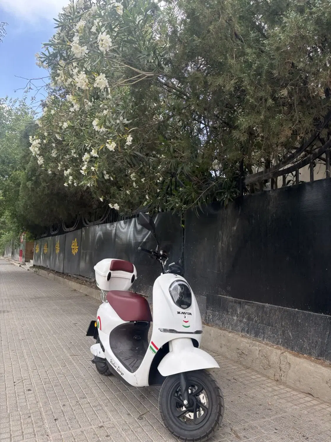 موتور برقی مدل ES6 1500 کویر|موتورسیکلت|اصفهان, کوی امام|دیوار