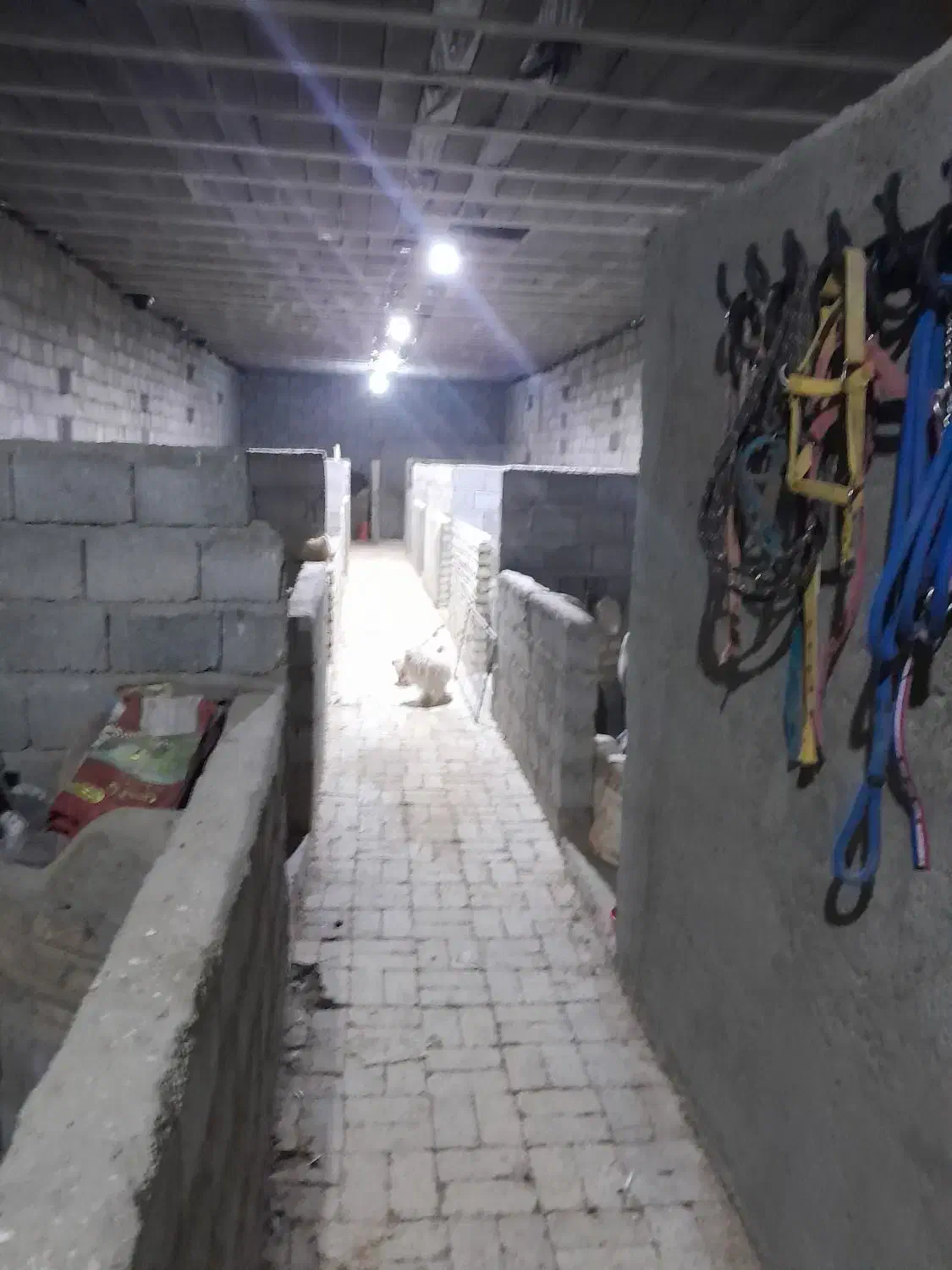 استبل اسب|اجارهٔ خانه و ویلا|اصفهان, قهجاورستان|دیوار