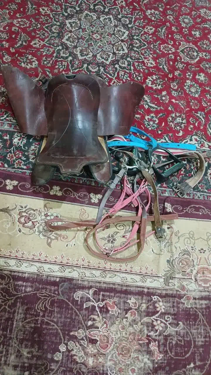 زین اسب|اسب و تجهیزات اسب‌سواری|میبد, |دیوار