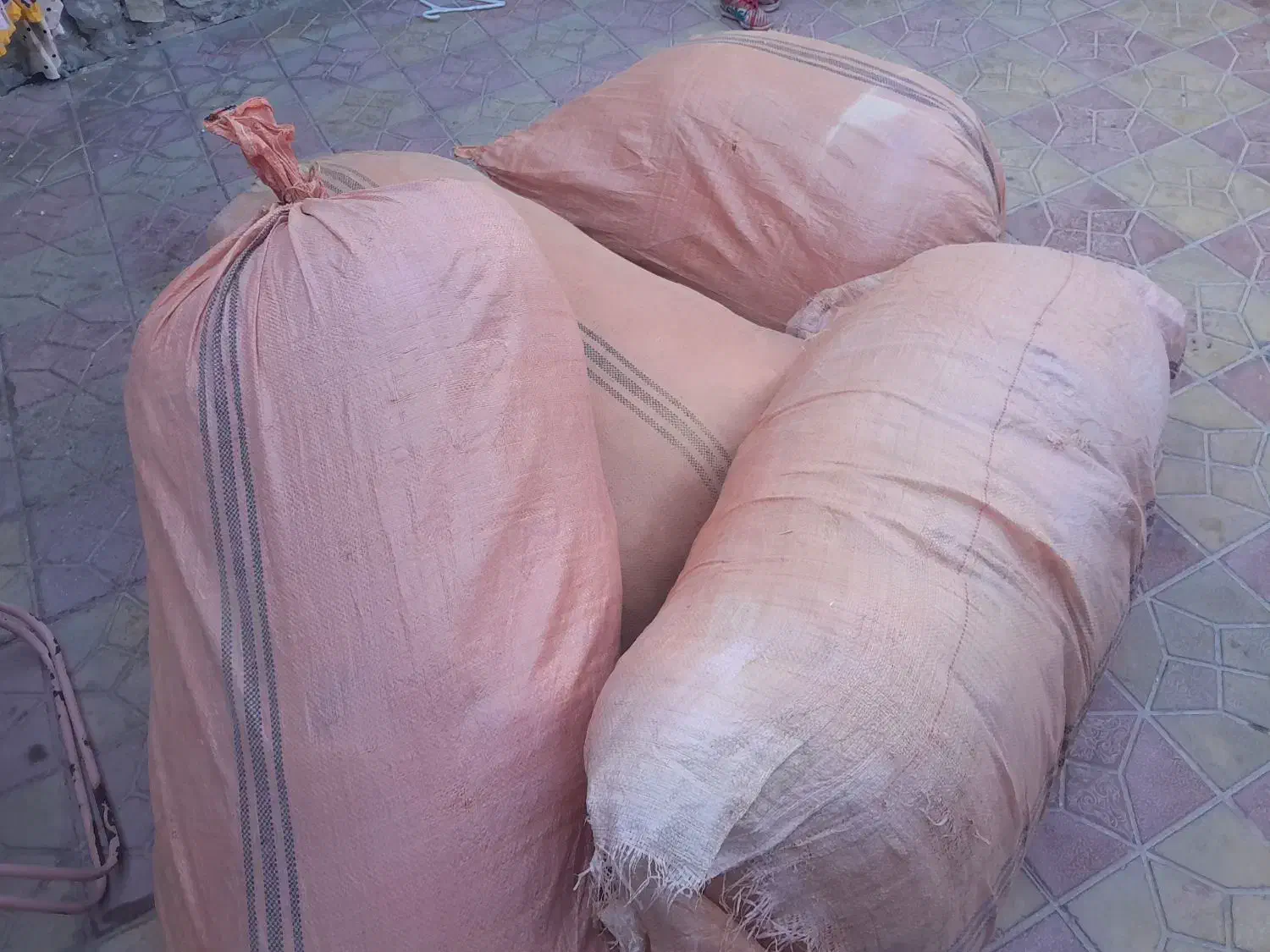 سه شریف موی بز کردی قیمت توافقی|حیوانات مزرعه|آبدانان, |دیوار