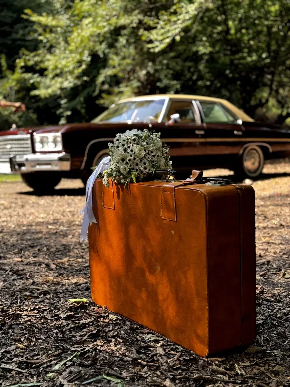 اجاره ماشین کلاسیک برای عروسی،فرمالیته و ...|خودرو اجارهای|نوشهر, |دیوار