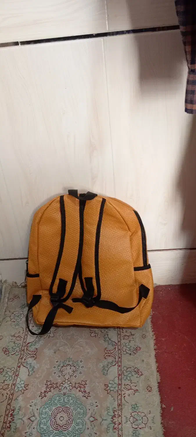 کیف جهت کتاب مدارس نو نو نو اصلا استفاده نشده|کیف، کفش، کمربند|شهرضا, |دیوار