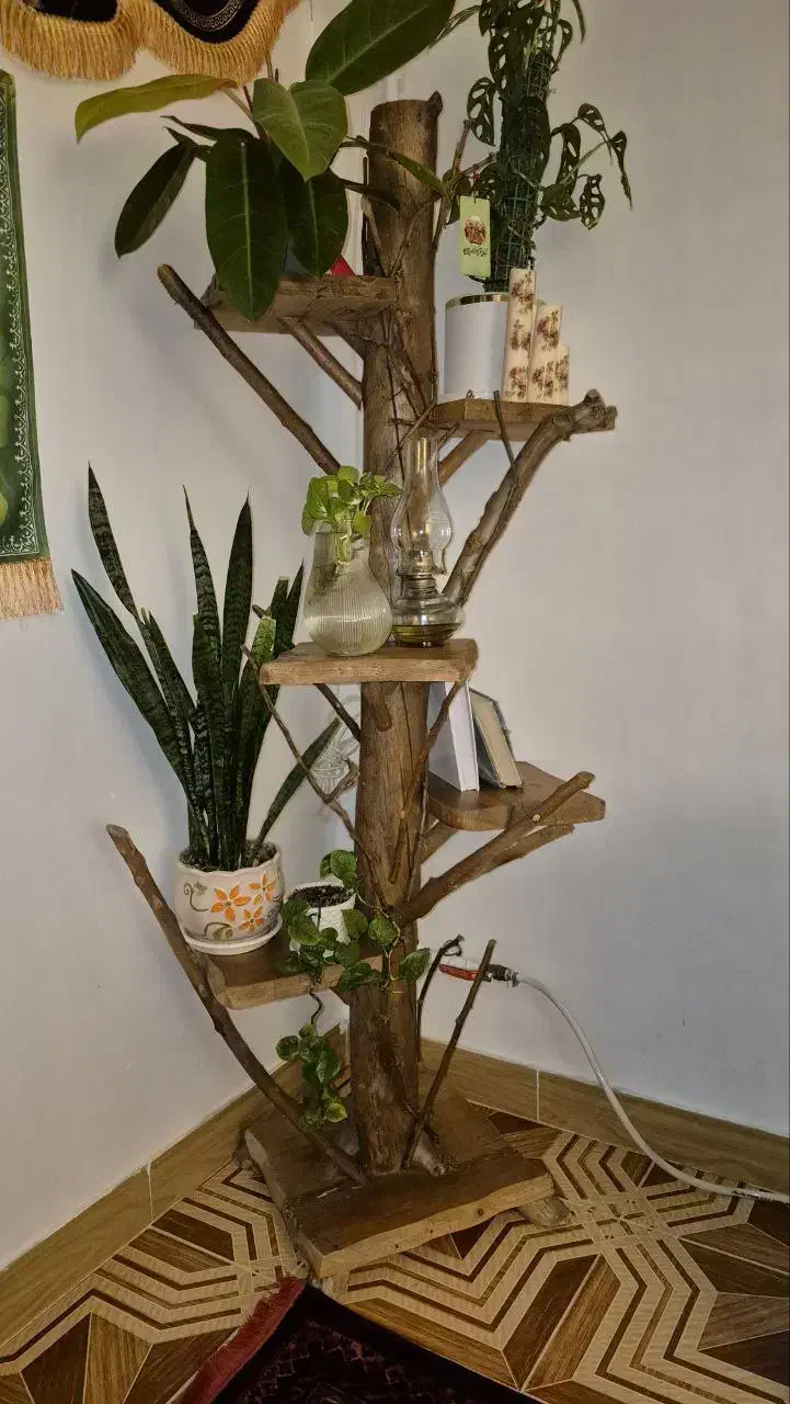 استند و میز چوبی|مبلمان خانگی و میز عسلی|لنگرود, |دیوار