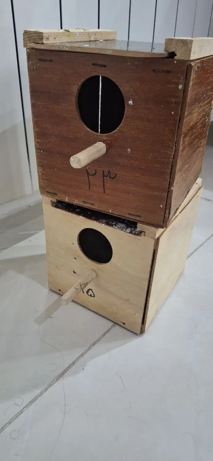 فروش لانه عروس یا کبوتر ۲۰ سانتی|لوازم جانبی حیوانات|قائمشهر, |دیوار