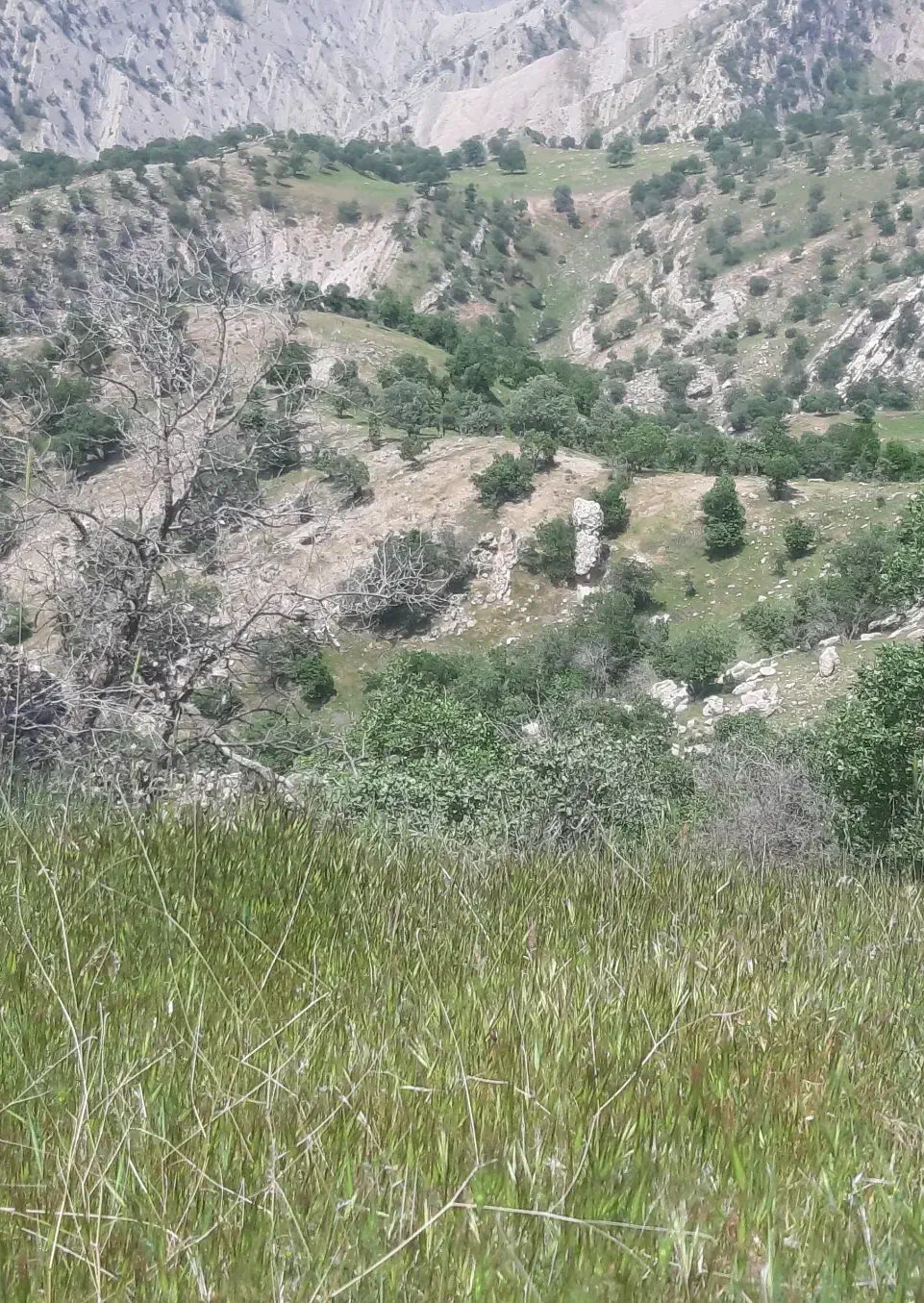 زمین در قطعه های مختلف واقع در پلیس راه چوار|فروش زمین و ملک کلنگی|چوار, |دیوار