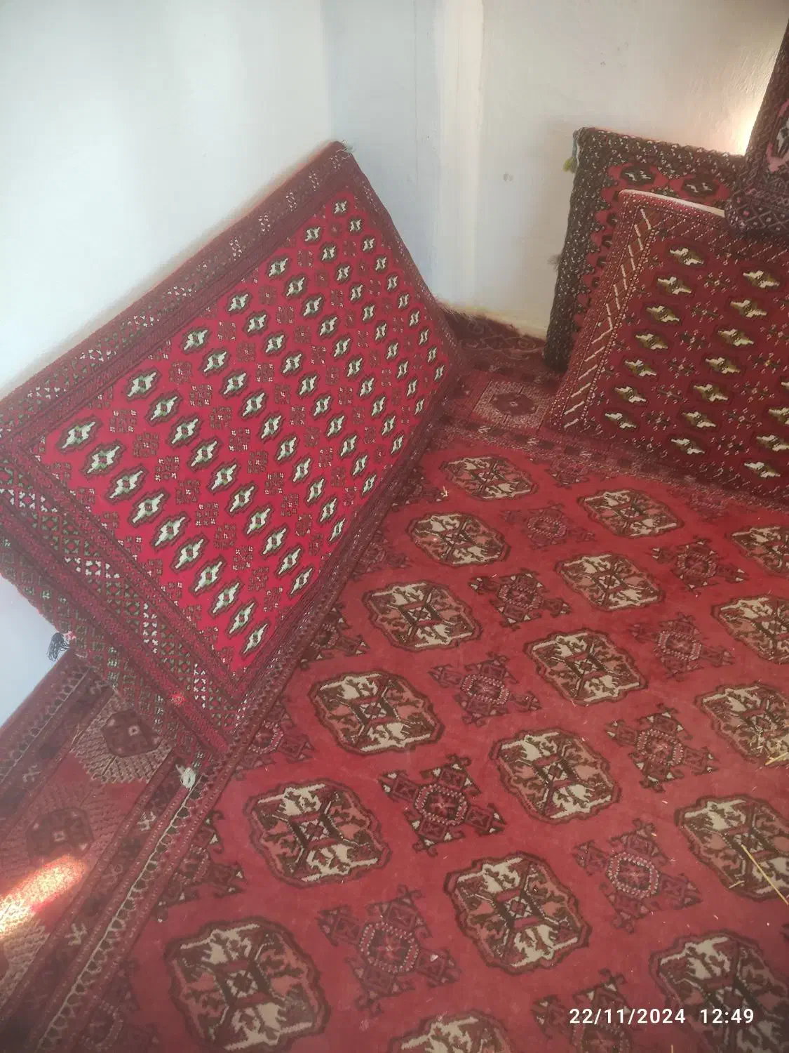 فرش دستباف ترکمنی|فرش|گرگان, |دیوار