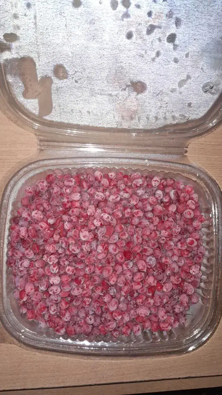 زرشک تازه و آب زرشک وشربت زرشک صددرصد طبیعی|خوردنی و آشامیدنی|طبس, |دیوار