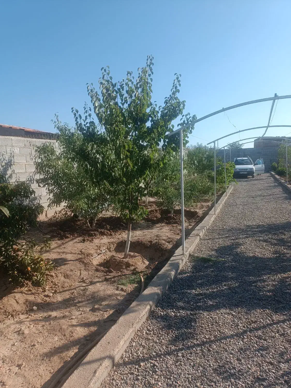 باغ ویلایی جاده نظرلو|فروش خانه و ویلا|صوفیان, |دیوار