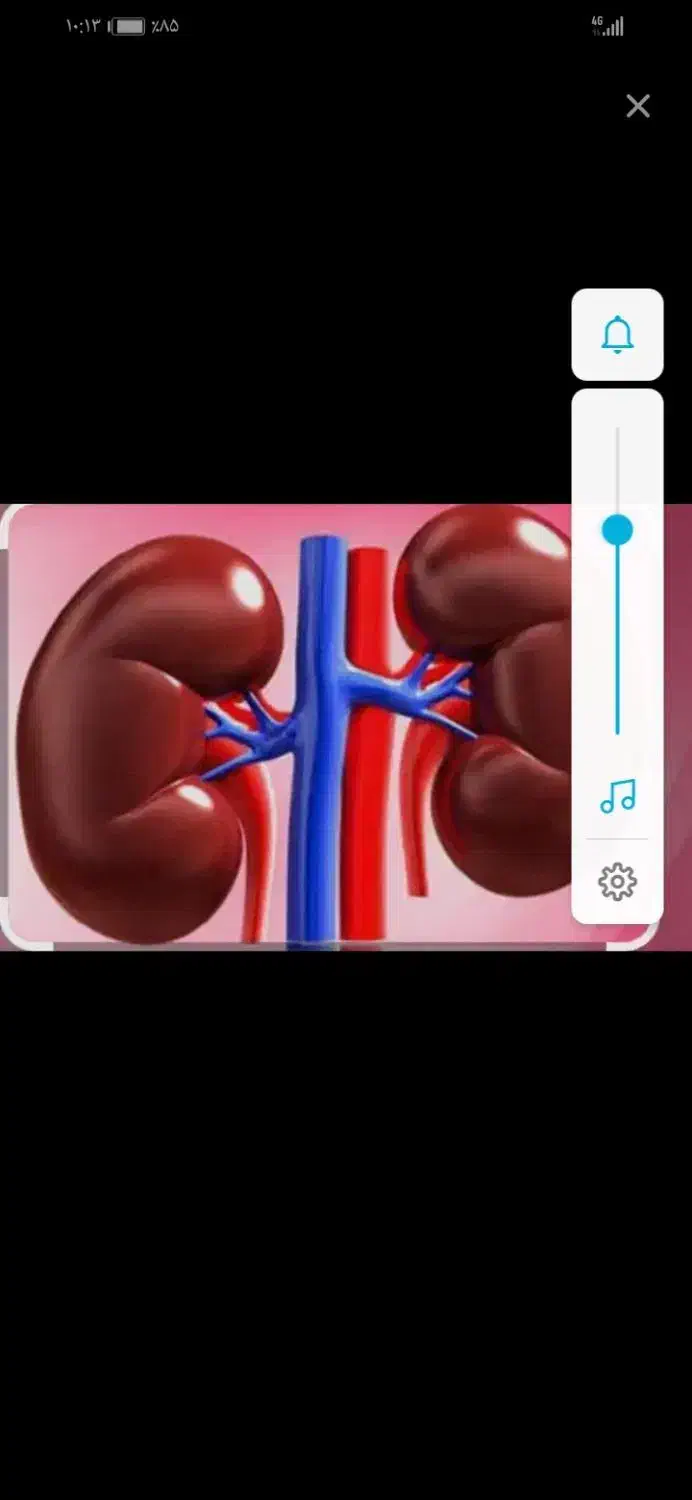 اهدا|فعالیت داوطلبانه تحقیقاتی|نقده, |دیوار