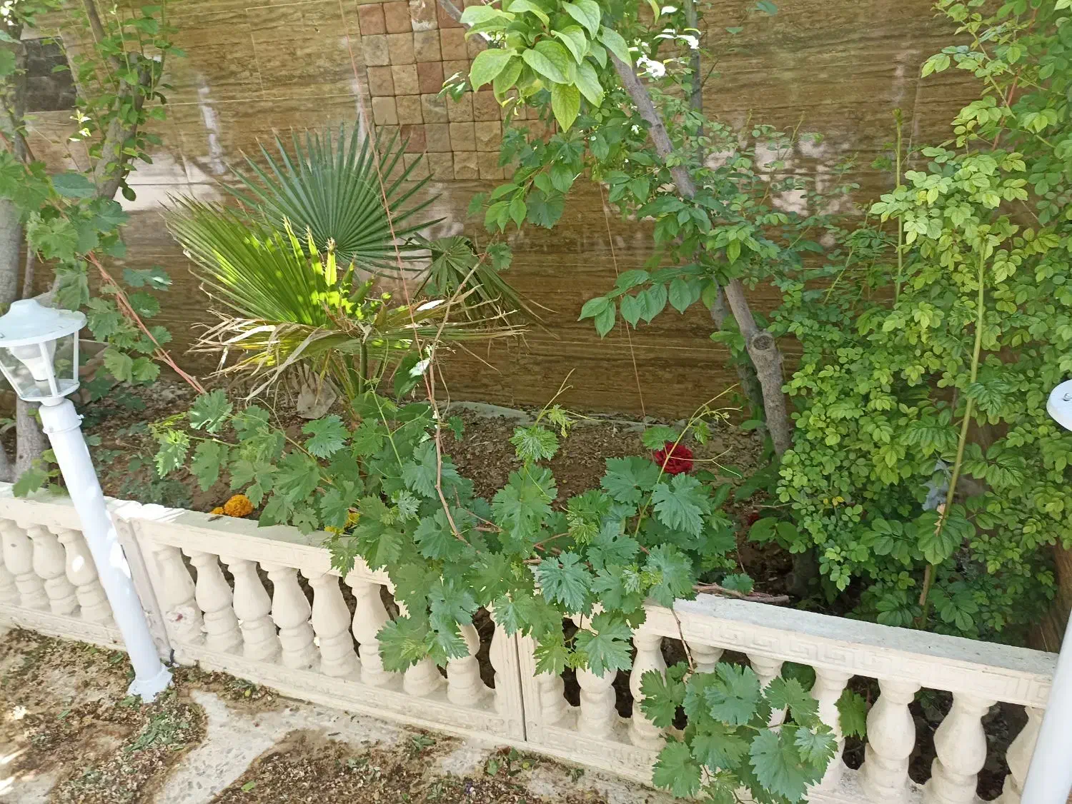 باغ ۵۰۰ متری کهرسنگ خ پژوهش|فروش دفتر صنعتی، کشاورزی، تجاری|نجف‌آباد, کهریزسنگ|دیوار