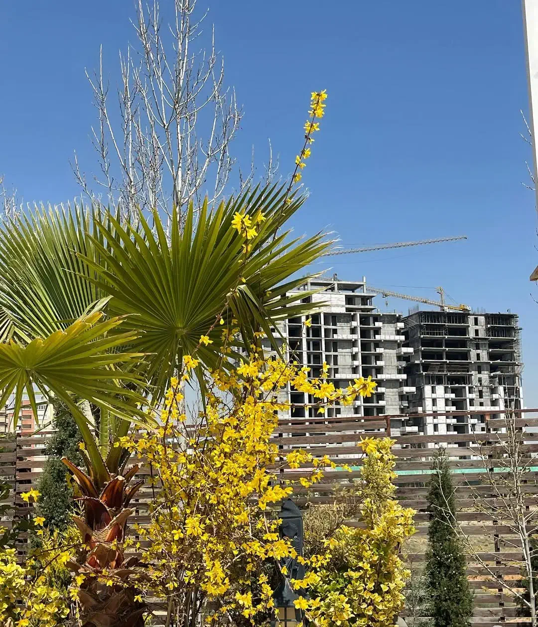 فروش امتیاز آپارتمان 299 متری دراک|فروش آپارتمان|شیراز, شهرک برف فروشان|دیوار