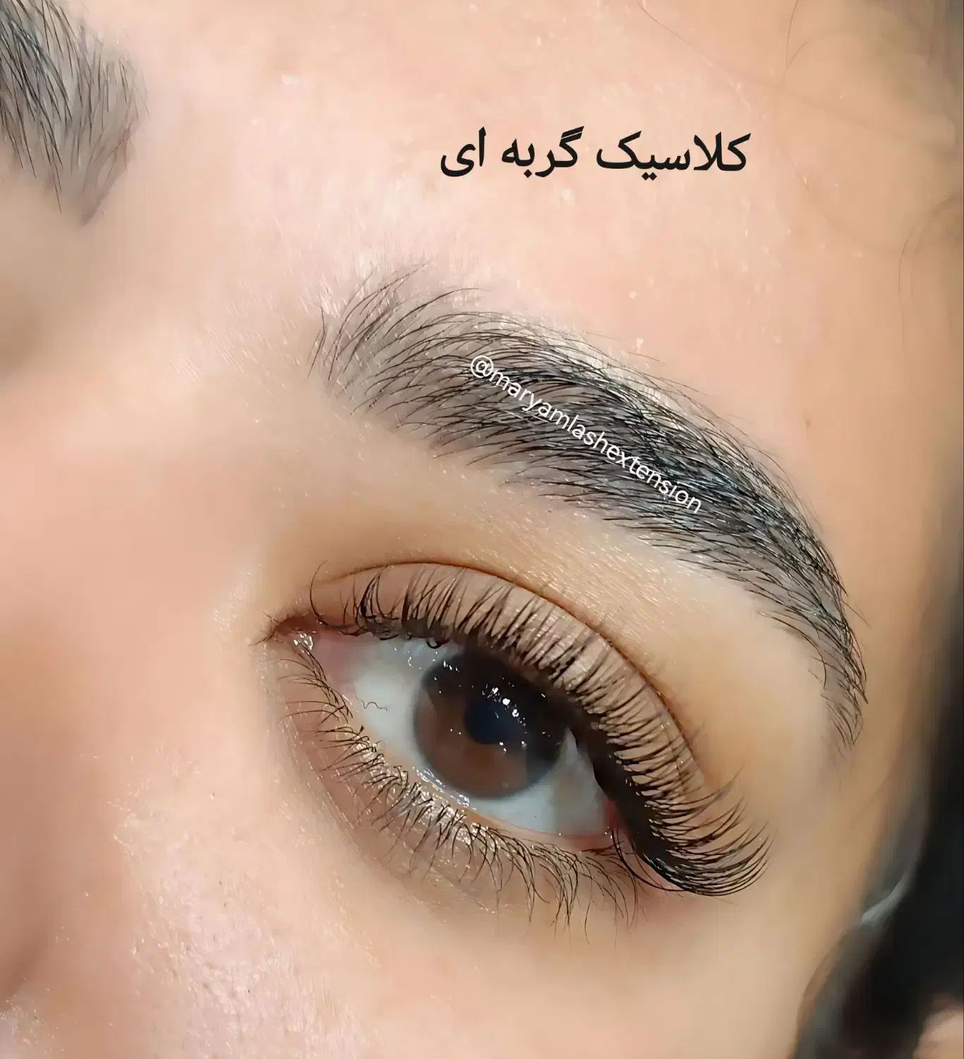 خدمات تخصصی زیبایی و عروس در سالن شایلی VIP|خدمات آرایشگری و زیبایی|مشهد, خواجه ربیع|دیوار