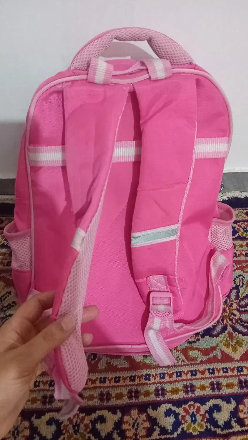 کیف گیتار میزتحریر لباس تابلو ظرف|کیف، کفش، کمربند|کلاله, |دیوار