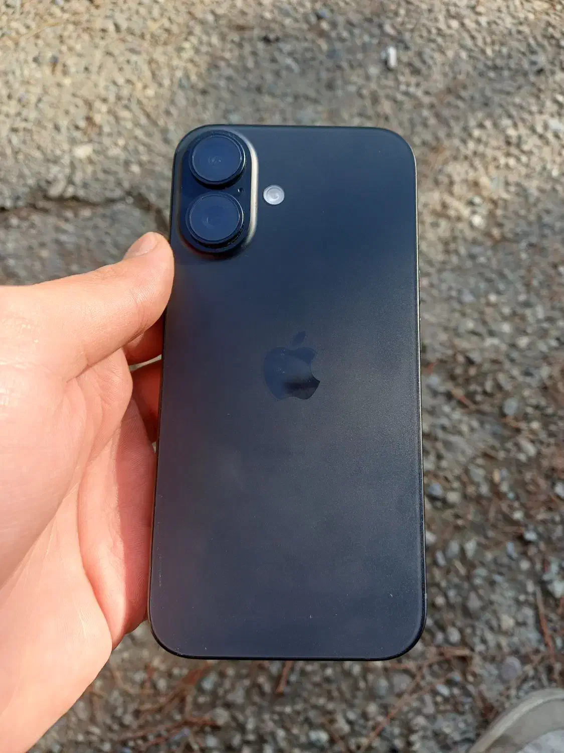 آیفون ۱۶ نرمال|موبایل|پلدشت, |دیوار