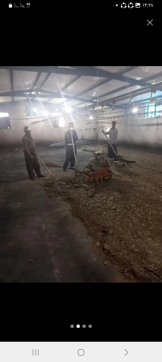 کود مرغی گوشتی خشک سالنی|خدمات باغبانی و درختکاری|دزفول, |دیوار