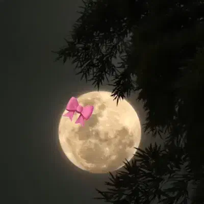 راهنمایی کار|فعالیت داوطلبانه|اسلامآباد غرب, |دیوار