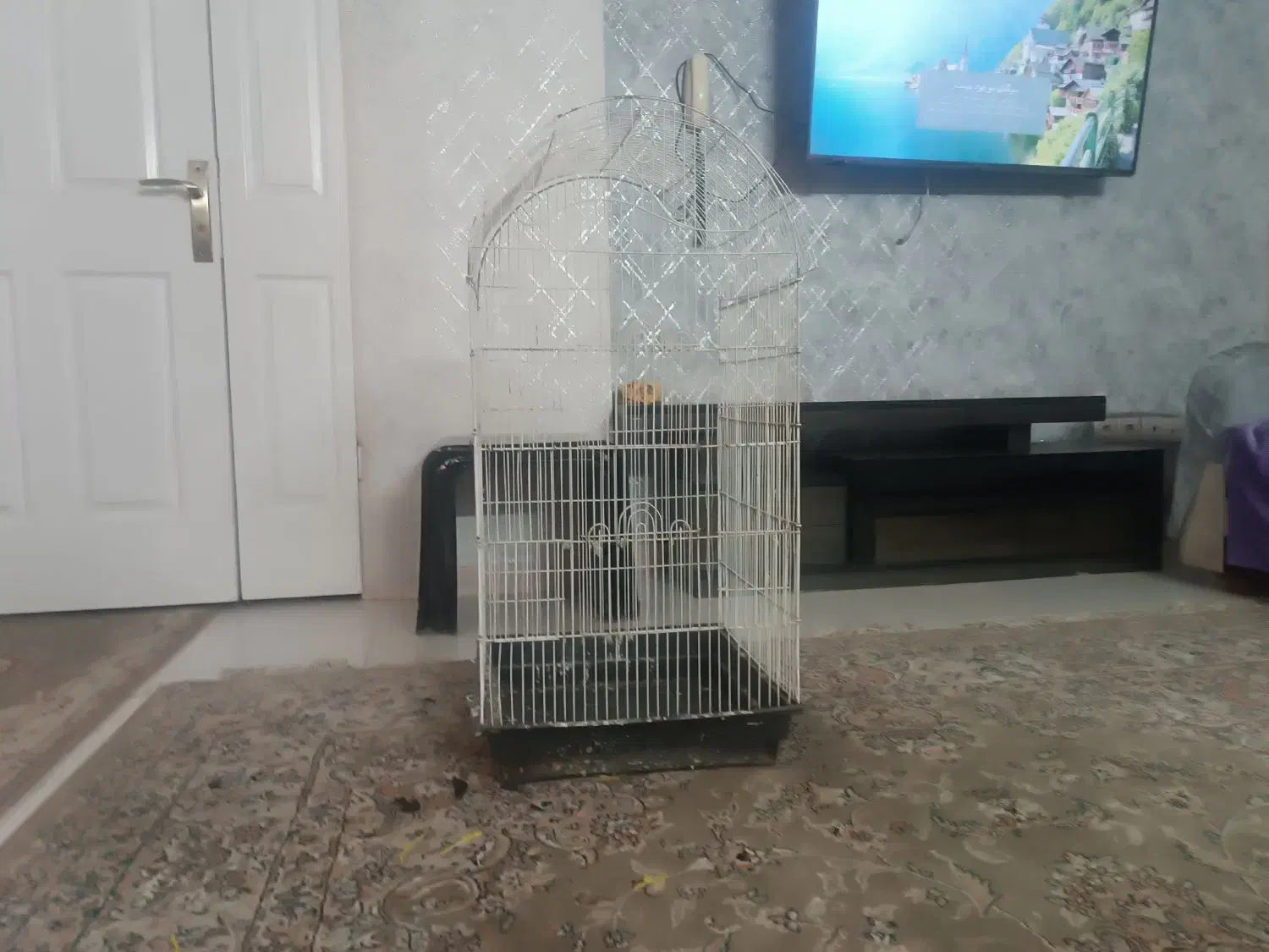 قفس پرنده بزرگ|لوازم جانبی حیوانات|قم, پردیسان|دیوار