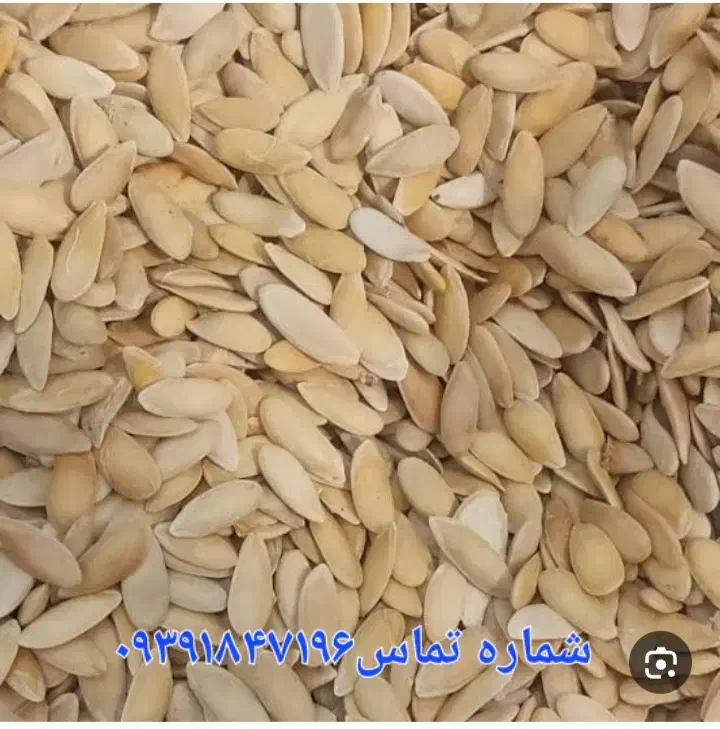 فروشگاه محصولات کشاورزی و نهادهای دامی جام|عمده‌فروشی|تربت جام, حافظ|دیوار