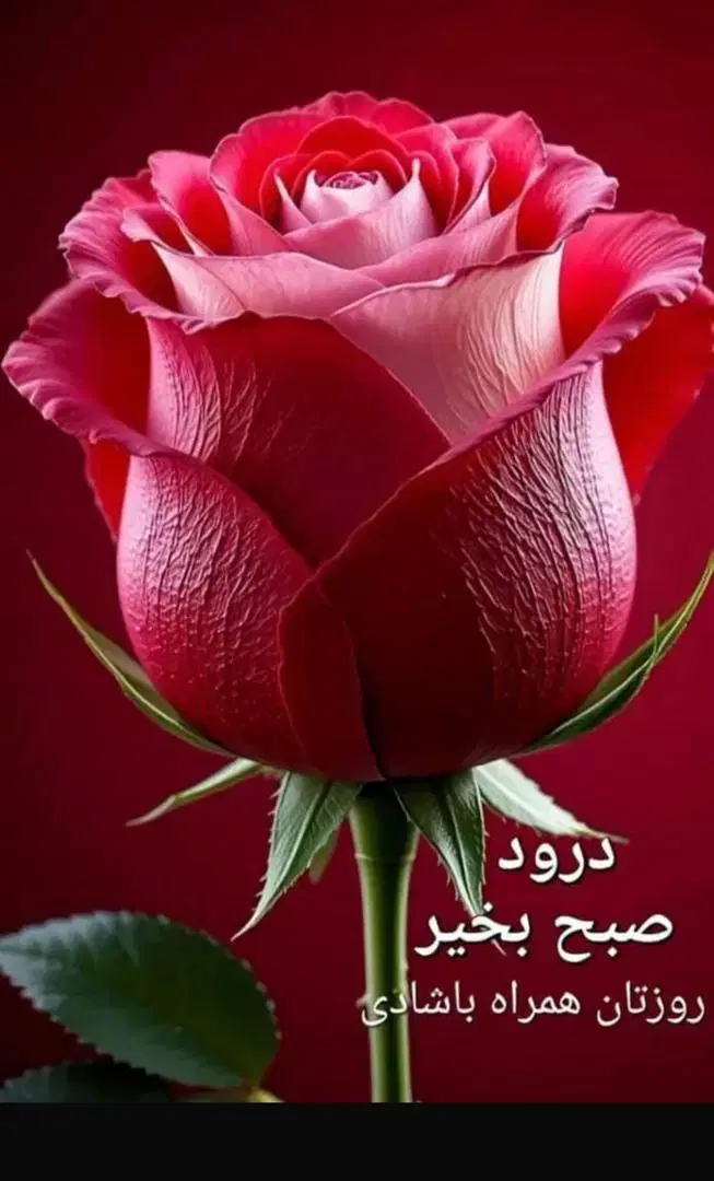 تایپ|خدمات رایانهای و موبایل|تهران, فلسطین (میدان انقلاب)|دیوار