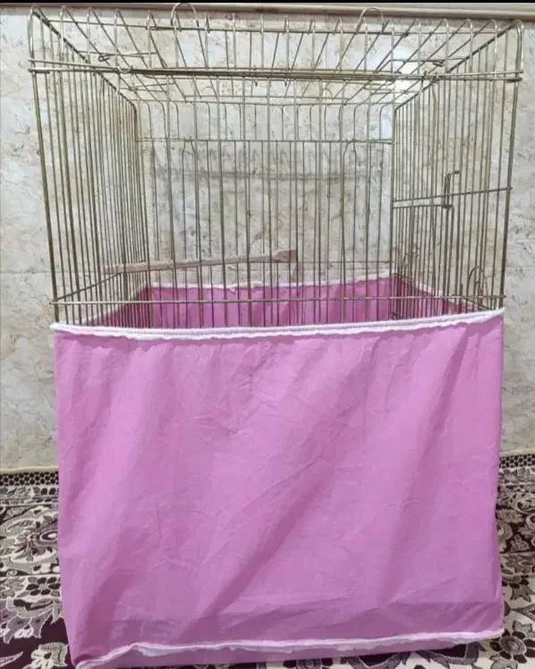 قفس عروس هلندی..|لوازم جانبی حیوانات|بندر امام خمینی, |دیوار