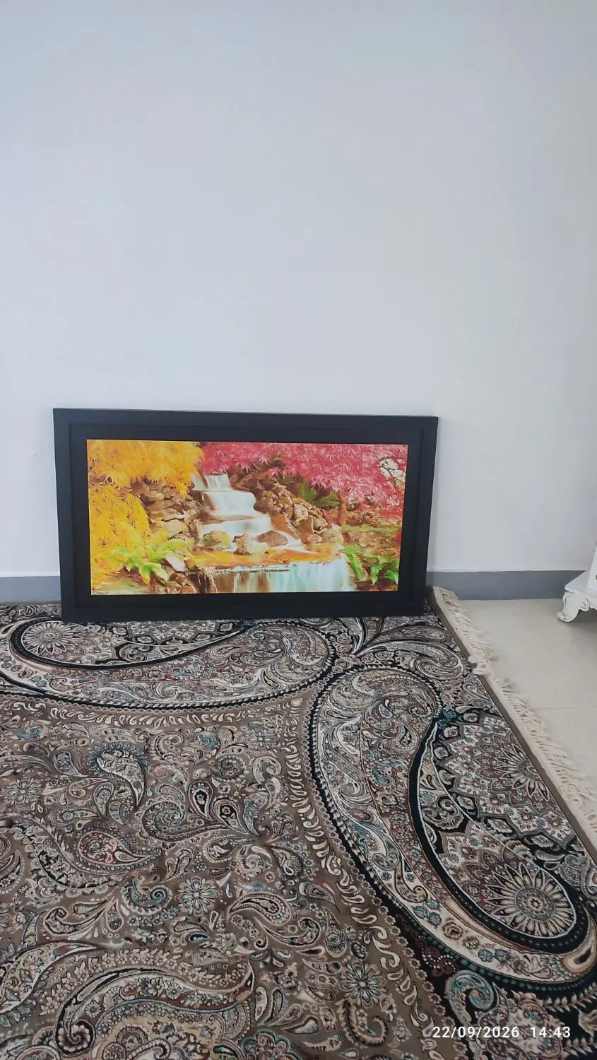 حراجی|حراج|بندرعباس, |دیوار