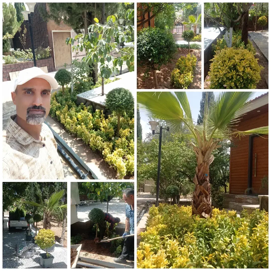 خدمات باغبانی آبیاری قطره ای کاشت هرس سم پاشی|خدمات باغبانی و درختکاری|شیراز, شهرک گلستان|دیوار
