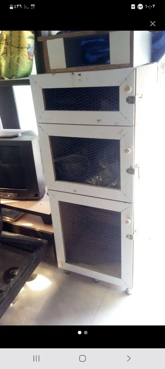 لانه مرغ و قفس پرنده|حیوانات مزرعه|رشت, حومه رشت|دیوار