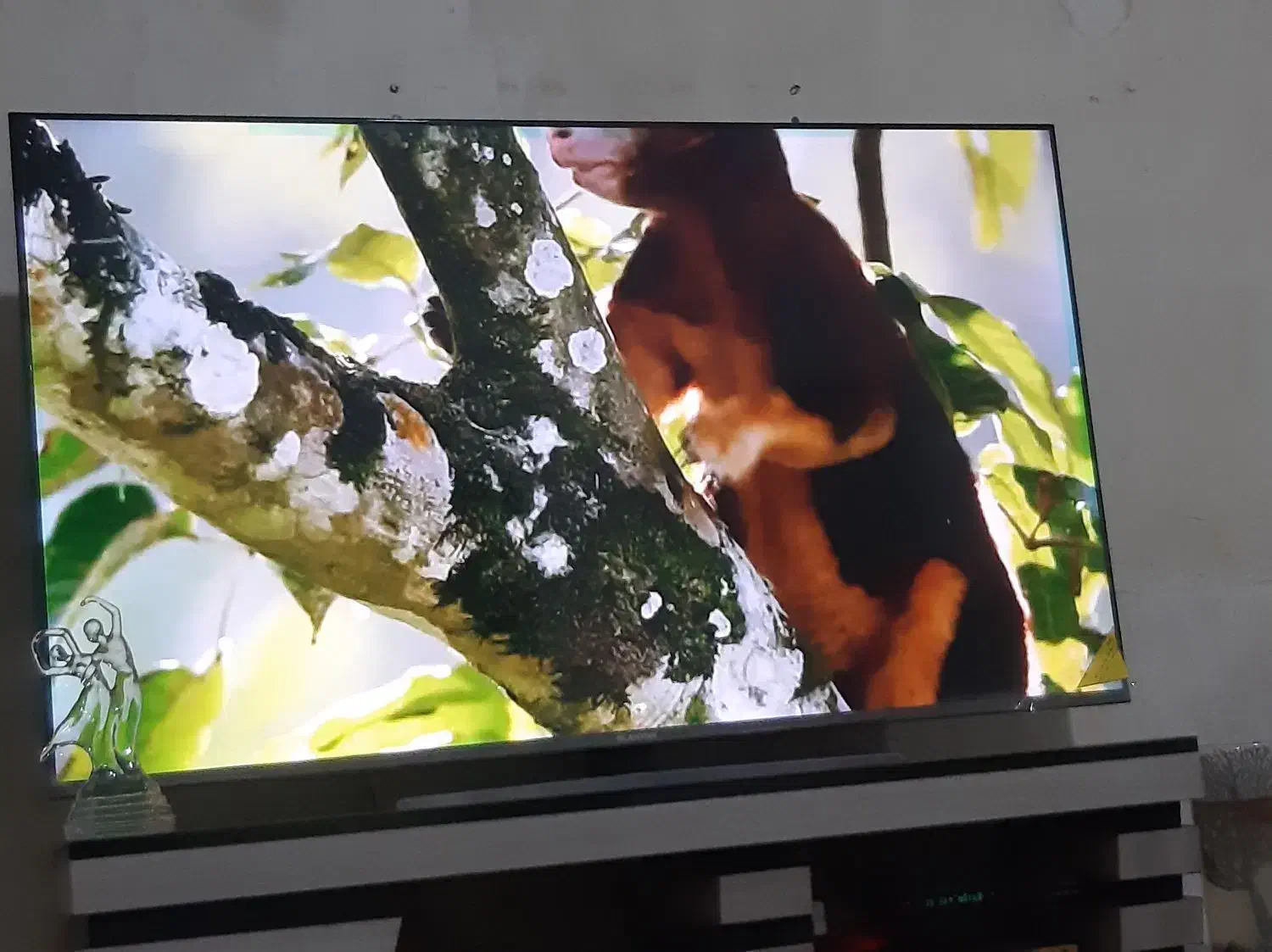 فروش تلوزیون ۶۵ اینچ|تلویزیون و پروژکتور|بهبهان, |دیوار