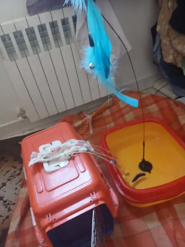 وسایل و اسباب بازی|لوازم جانبی حیوانات|تهران, زرکش|دیوار