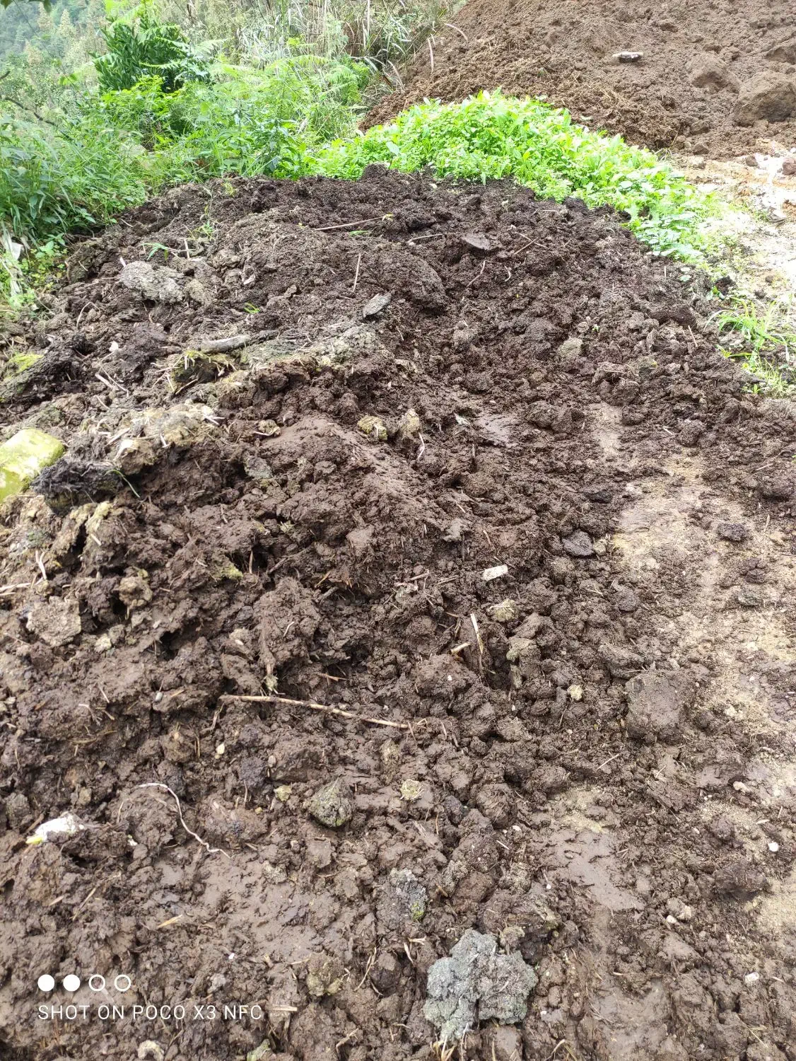 فروش کود ، خاک ، خاک برگ ،پوست بادام ، پوست برنج|خدمات باغبانی و درختکاری|رامسر, |دیوار