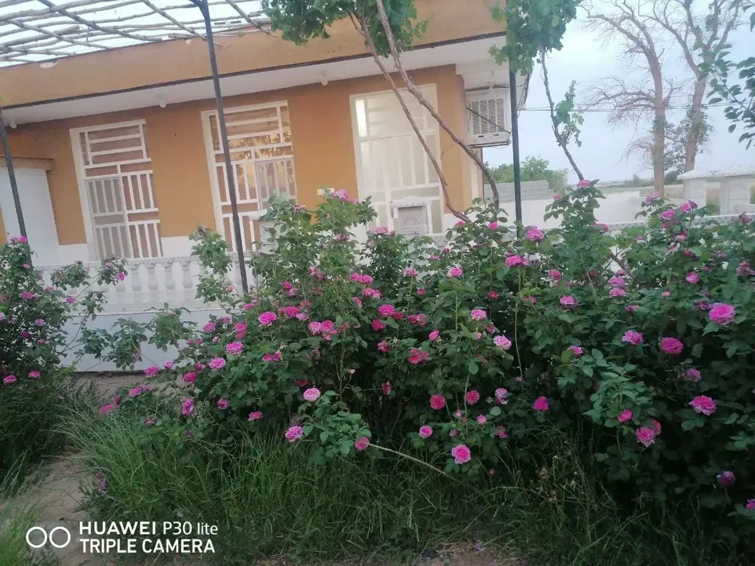 فروش باغ ویلایی 3600متر|فروش خانه و ویلا|ابرکوه, |دیوار