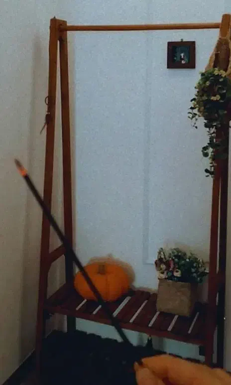 رگال چوبی|بندرخت و رختآویز|لاهیجان, شیشه گران|دیوار