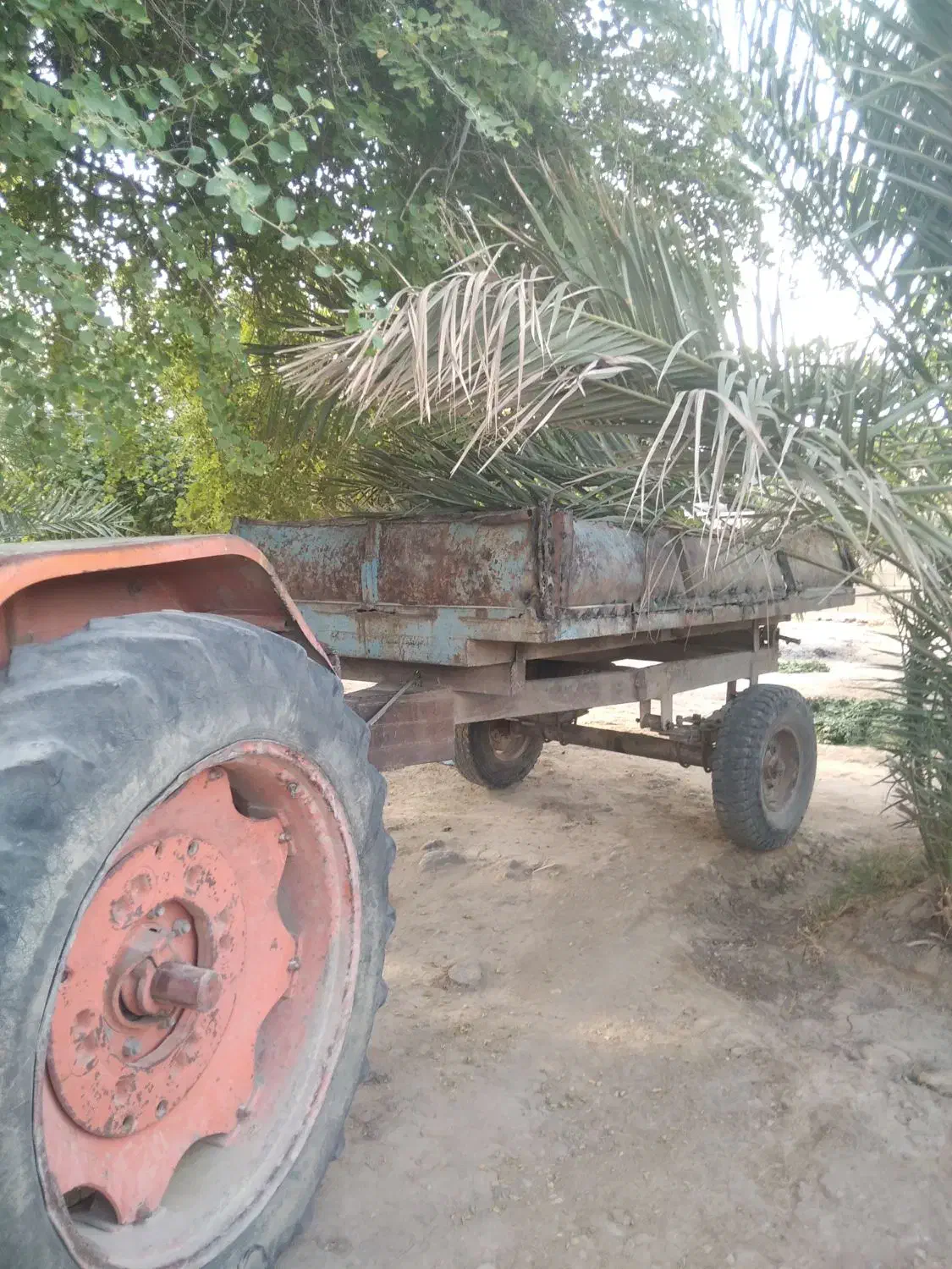 تراکتور رومانی مدل 64|خودرو سنگین|حاجی آباد, |دیوار