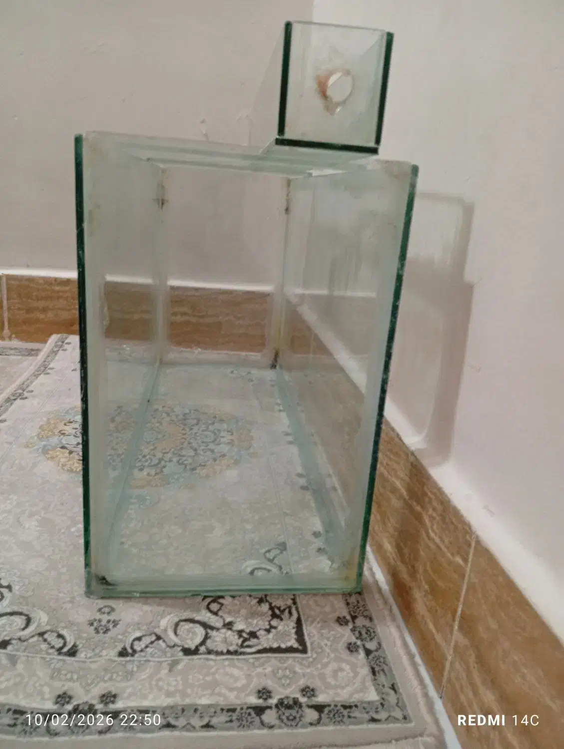 آکواریوم|ماهی|بندرعباس, |دیوار