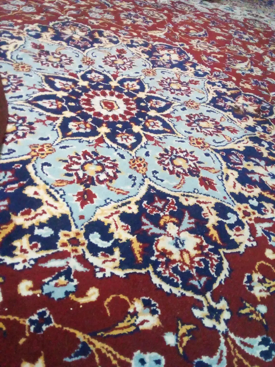 قالی.دوازده.متری.|فرش|جهرم, |دیوار