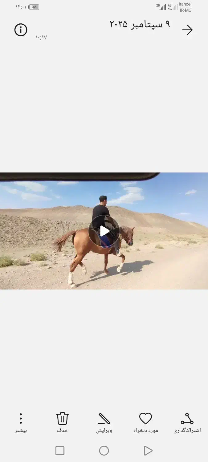 اسب یورغ|اسب و تجهیزات اسبسواری|جلگه رخ, |دیوار