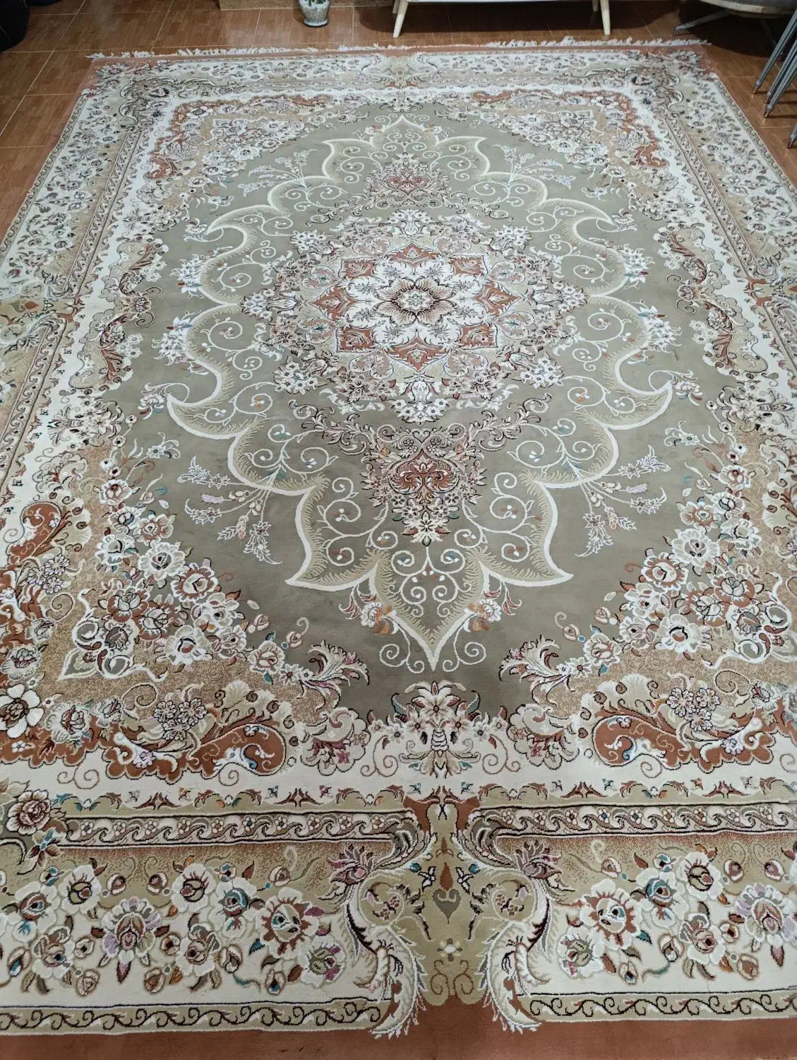 فرش ۱۲ متری|فرش|رشت, دیانتی|دیوار