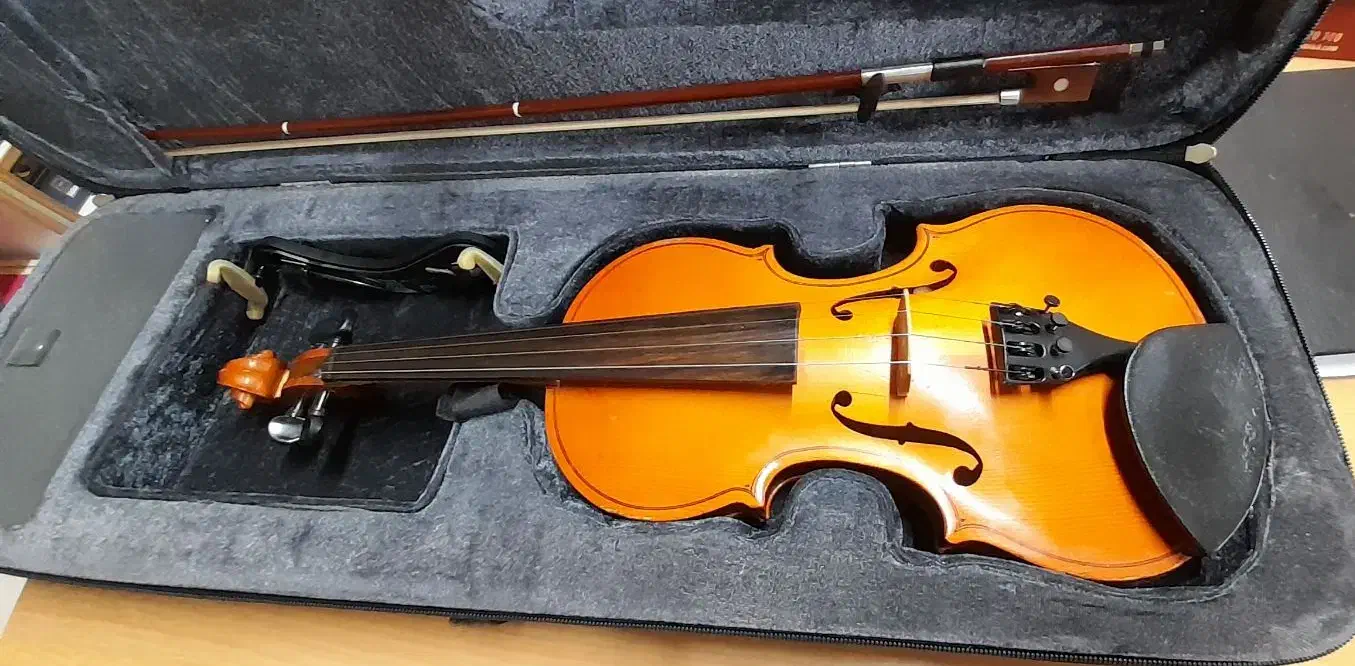 ویولن اصل روسی سایز سه چهارم|ویولن|اصفهان, آبشار|دیوار