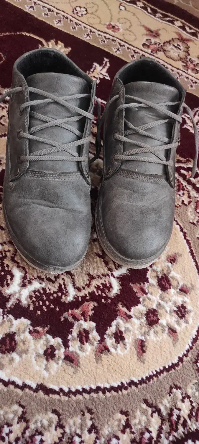 کفش|کیف، کفش، کمربند|زابل, |دیوار