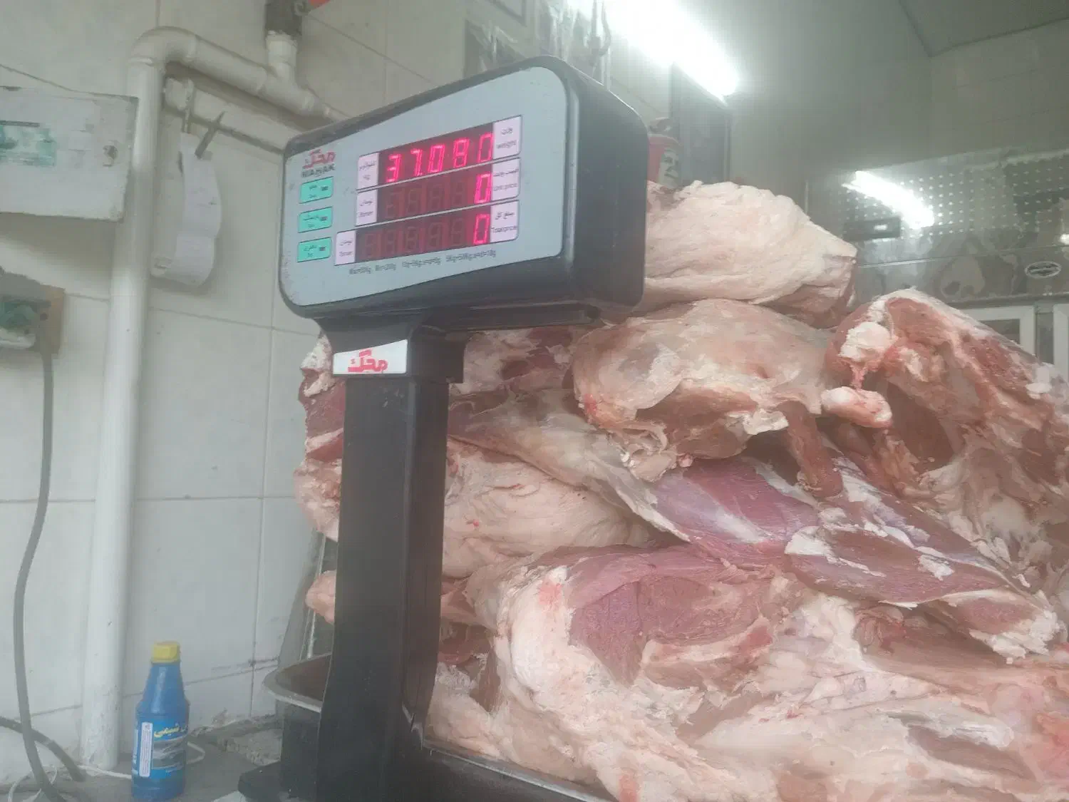 گوشت گوساله و گوسفندی  توجه گوست گوساله ۴۹۰ هزار ت|خوردنی و آشامیدنی|قم, در بهشت|دیوار