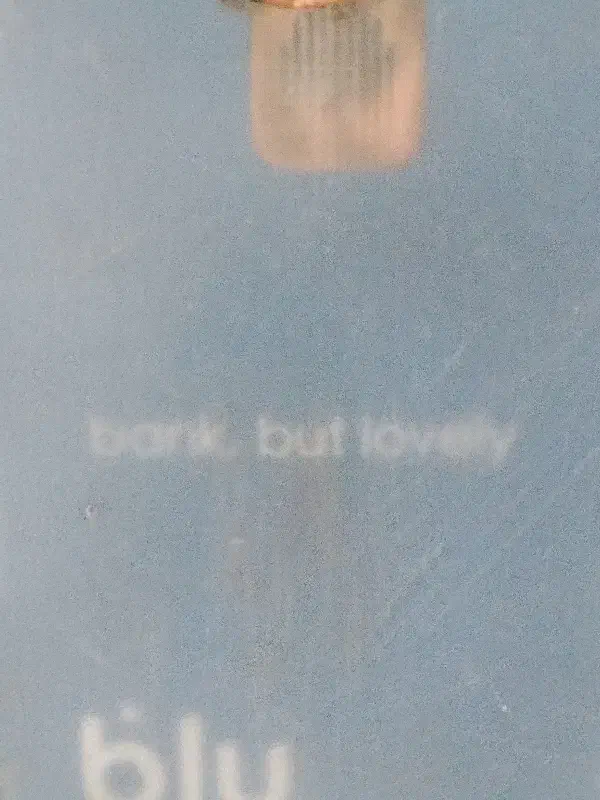 بلو بانک پیدا شده|اشیا|شیراز, شهرک قمشه|دیوار