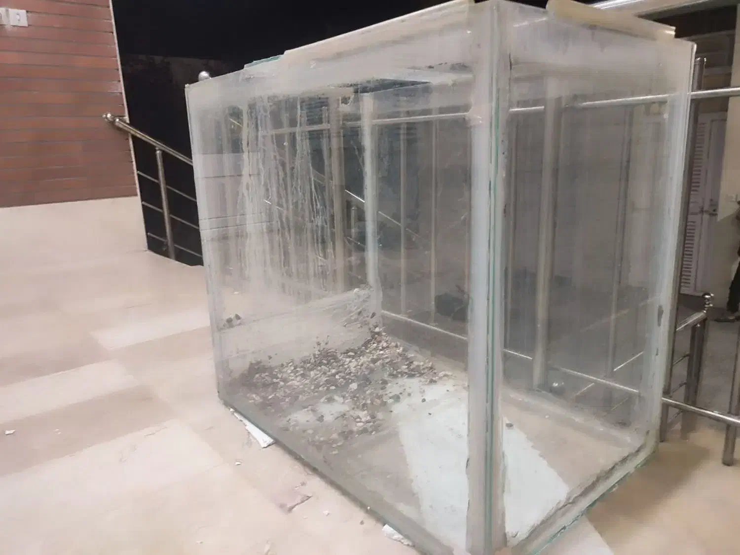 فروش ماهی کوی|ماهی|یزد, |دیوار