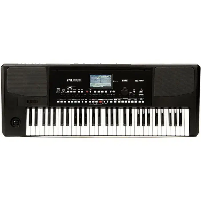 کیبورد کرگ pa300 کم کار و تمیز|پیانو، کیبورد، آکاردئون|بادرود, |دیوار