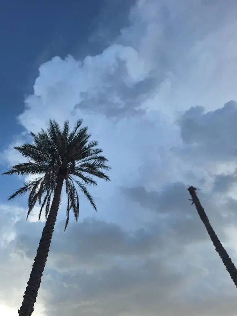 فروش اب و زمین کشاورزی|اجارهٔ دفتر صنعتی، کشاورزی، تجاری|سیب و سوران, |دیوار