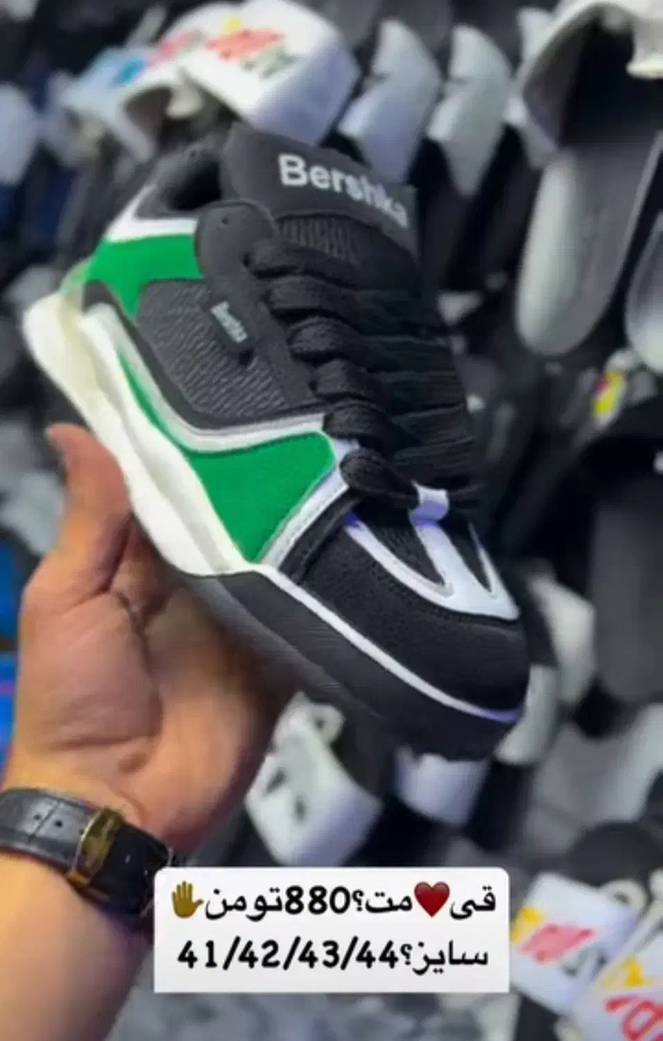 کتانی ونس|کیف، کفش، کمربند|شیروان (خراسان), |دیوار