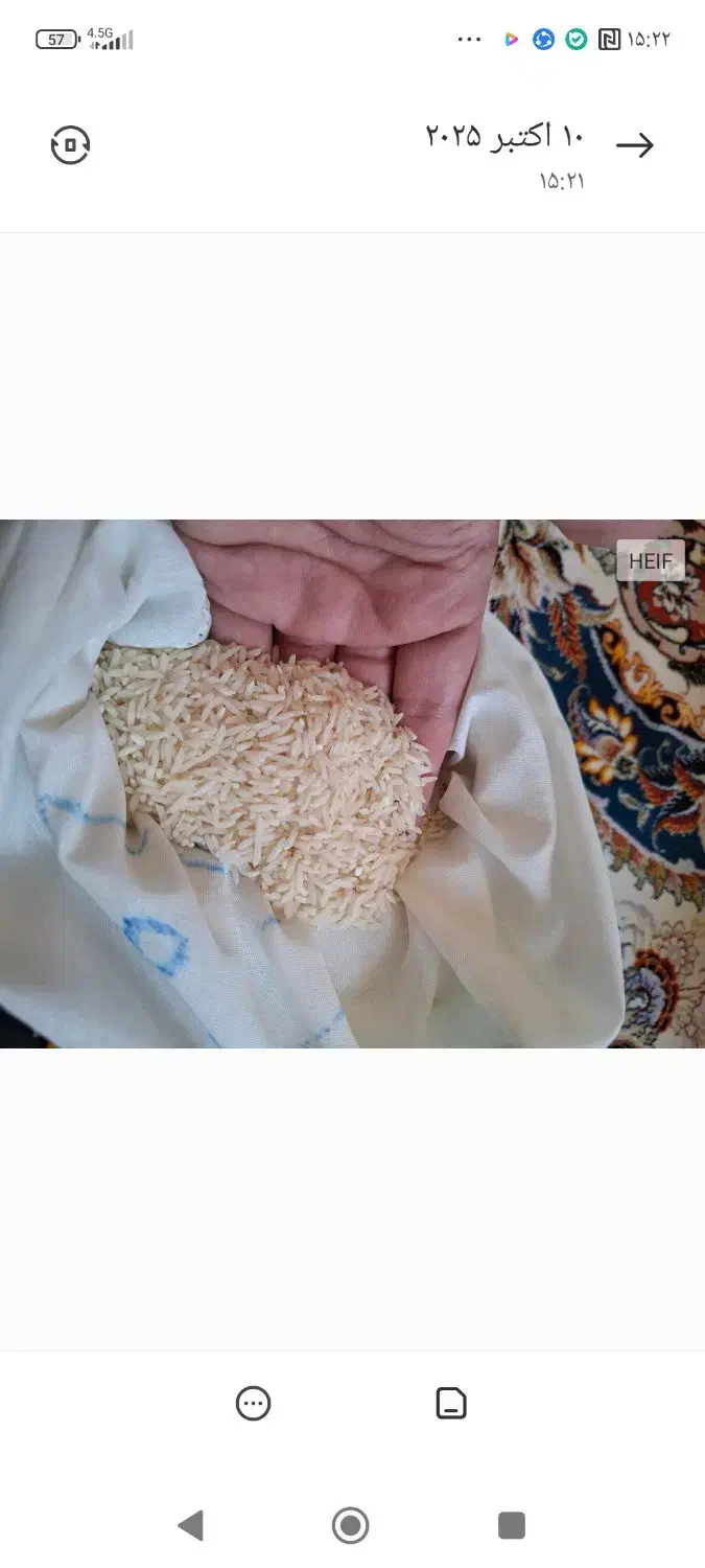 پخش برنج طارم گرگان|خوردنی و آشامیدنی|قم, پردیسان|دیوار