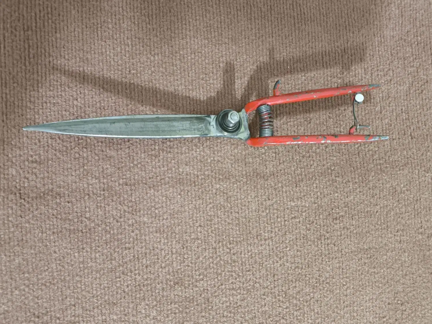 قیچی قالی و قالیچه تیزبز|لوازم خیاطی و بافتنی|گنبد کاووس, |دیوار